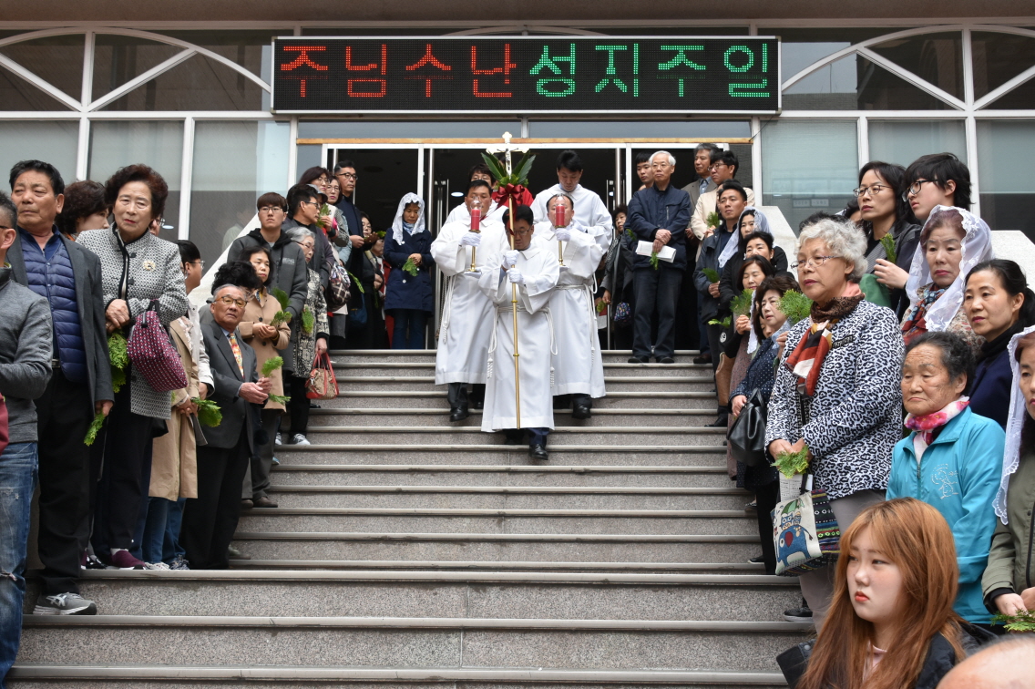 주님성지주일.jpg