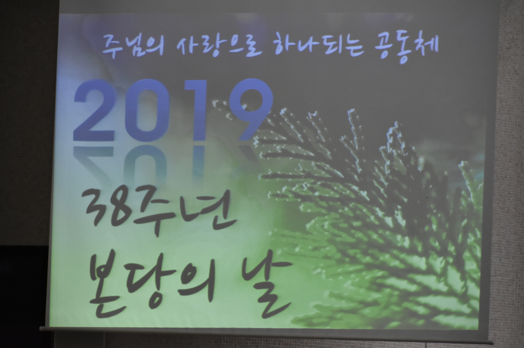 38주년 본당의 날.jpg