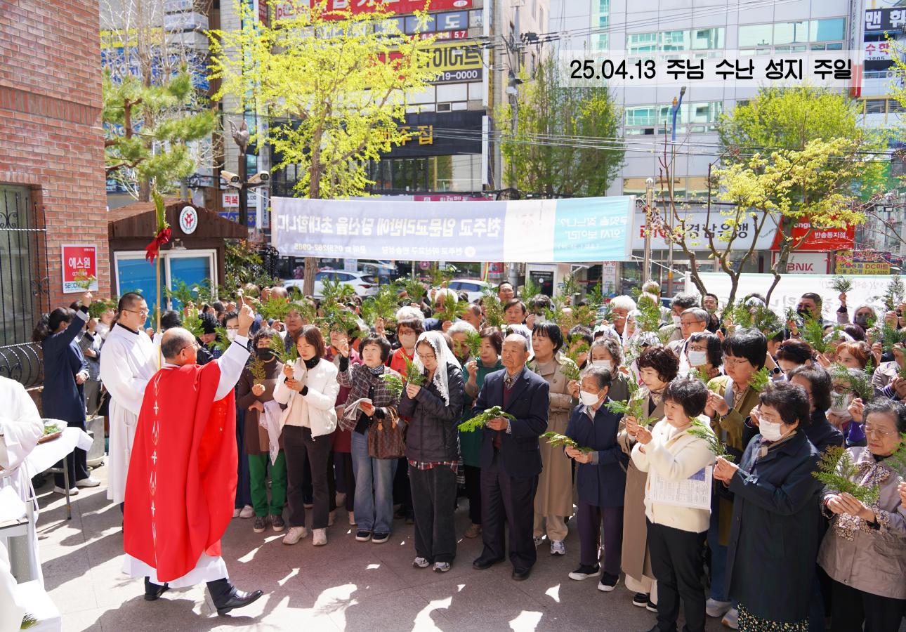 성지1 사본.jpg